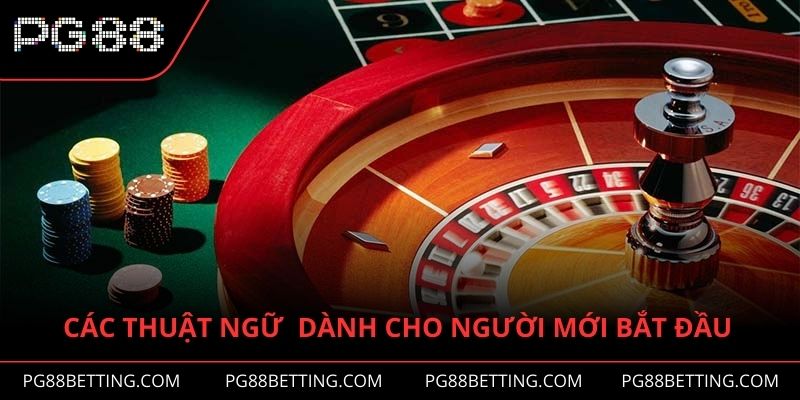 Các thuật ngữ  dành cho người mới bắt đầu tham gia cược